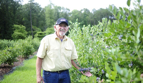 Jim Sutton of Mountain Meadows Farm in Columbiana stand in front of his blueberry bushes. (Reporter Photo/Jon Goering)