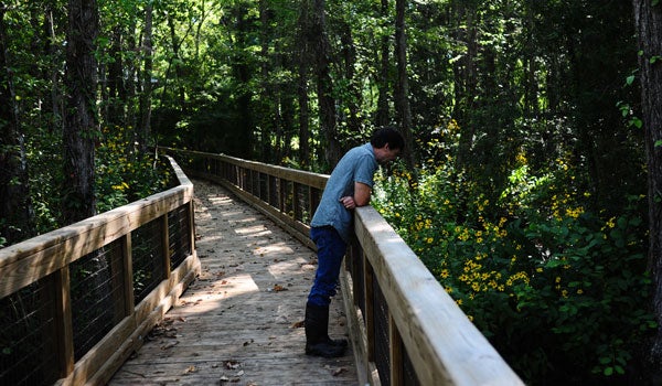 Dr. Mike Hardig looks out onto Ebeneezer Swamp, which contains a variety of plant and animal species. (Reporter Photo/Jon Goering)