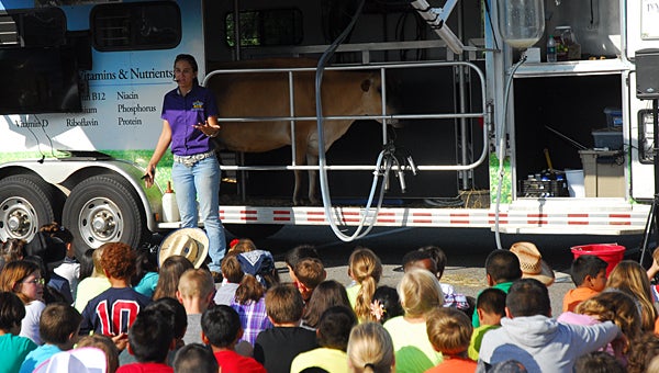Michaela Sanders with the Alabama Dairy Farmers Classroom and her cow, Jersey Belle, visit Meadow View Elementary School on Oct. 2. (Reporter Photo/Neal Wagner)