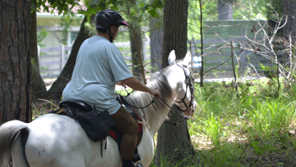 Oak Mountain State Park features 26 miles of horseback riding trails. (Contributed)