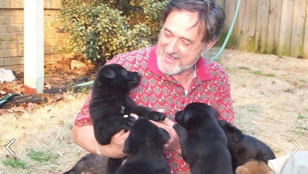 Kurt Hertrich with a number of young puppies at his Schutzhund club outside of Montevallo. (Contributed)
