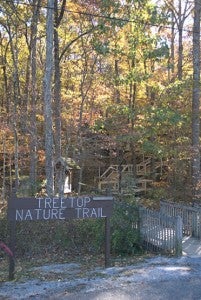 Treetop Nature Trail, an elevated boardwalk located on Terrace Drive, is home to rehabilitated birds of prey that are unable to be released back into the wild due to a remaining disability. (Contributed)