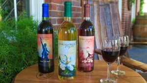 Morgan Creek WInery produces, bottles and ships wine from its Harpersville location. (Special to the Reporter / Dawn Harrison)