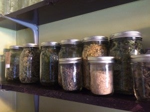Strouss uses wild harvested herbs to craft her tinctures and extracts. (Contributed)