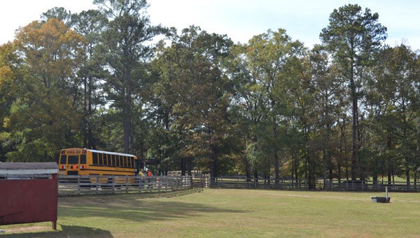 Oak Mountain State Park offers field trips for all ages and all groups at inexpensive rates. All field trips to the park take place outside for the best nature experience.