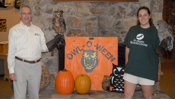 Executive director Doug Adair and director of eductaion and outreach Scottie Jackson prepare for Owl-o-ween with AWC's great horned owl and Coosa the barred owl. (Reporter photo / Jessa Pease)