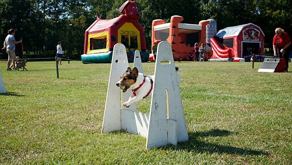 Bark in the Park will return to Alabaster's Veterans Park on Saturday, Oct. 3. (File)