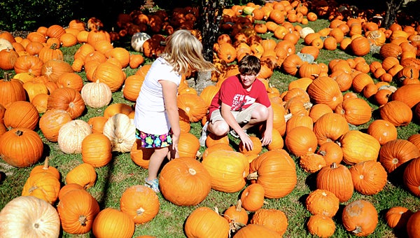 The annual pumpkin patch will return to First Presbyterian Church of Alabaster on Sept. 27. (File)