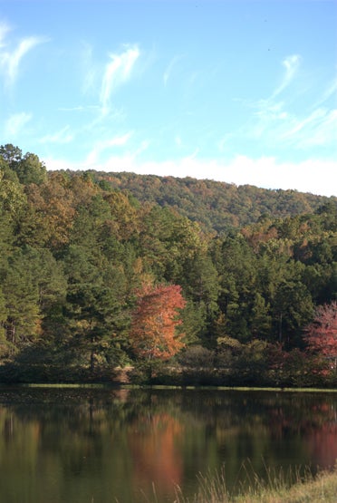 Oak Mountain State Park's various tree species, including oaks, maples and pines, undergo color changes in the fall. (Contributed)