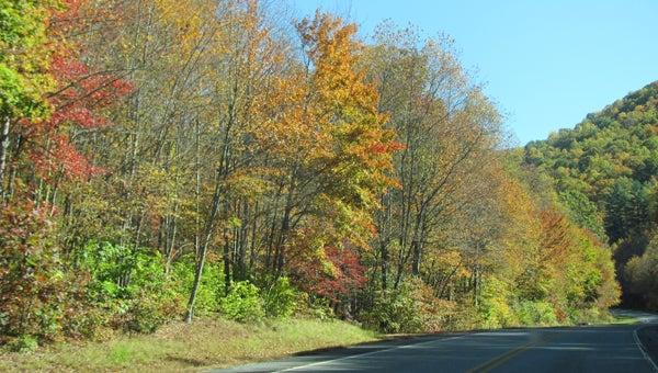 Falling leaves and lower temperatures signal the arrival of fall, and the area offers attractions for families. (Contributed)