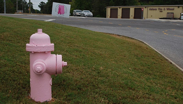 Members of the Helena Fire Department have painted a few of the fire hydrants around the city pink for the month of October showing support for breast cancer awareness. (Reporter Photo/Graham Brooks)