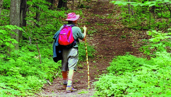 Pelham Public Library is hosting a wilderness survival class March 12 from 2-3 p.m. (File) 