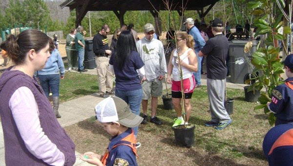 Container trees are given away at the 2014 Arbor Day Celebration in Chelsea. (Contributed)