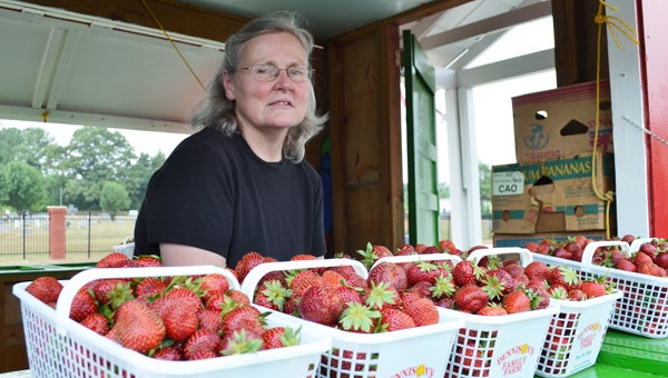 Local vendors bring fresh, Alabama-grown strawberries to share with attendees of Calera’s annual Strawberry Festival. (File)