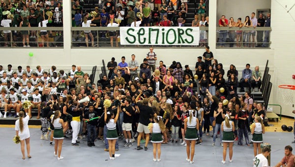 The senior class cheers for their team at the PHS first pep rally of 2016. (Contributed)