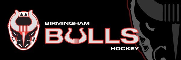 Birmingham Bulls to host many promotional nights - Shelby County Reporter